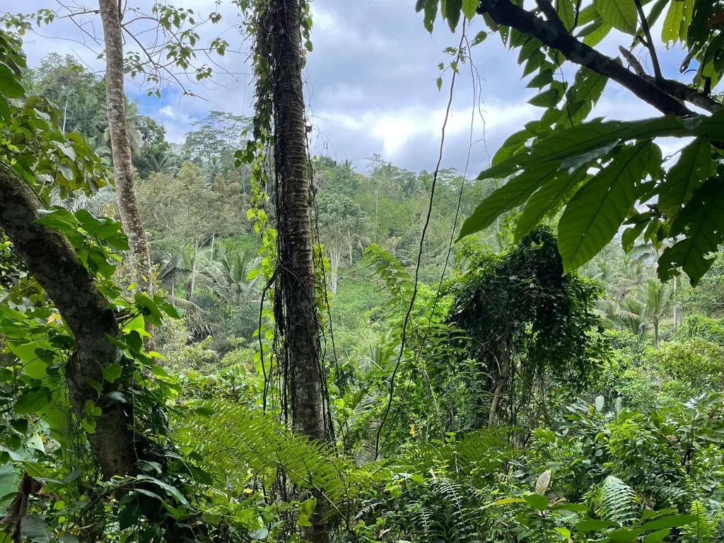 55 Are of Rare Riverside Land for Lease in Ubud — photo 3