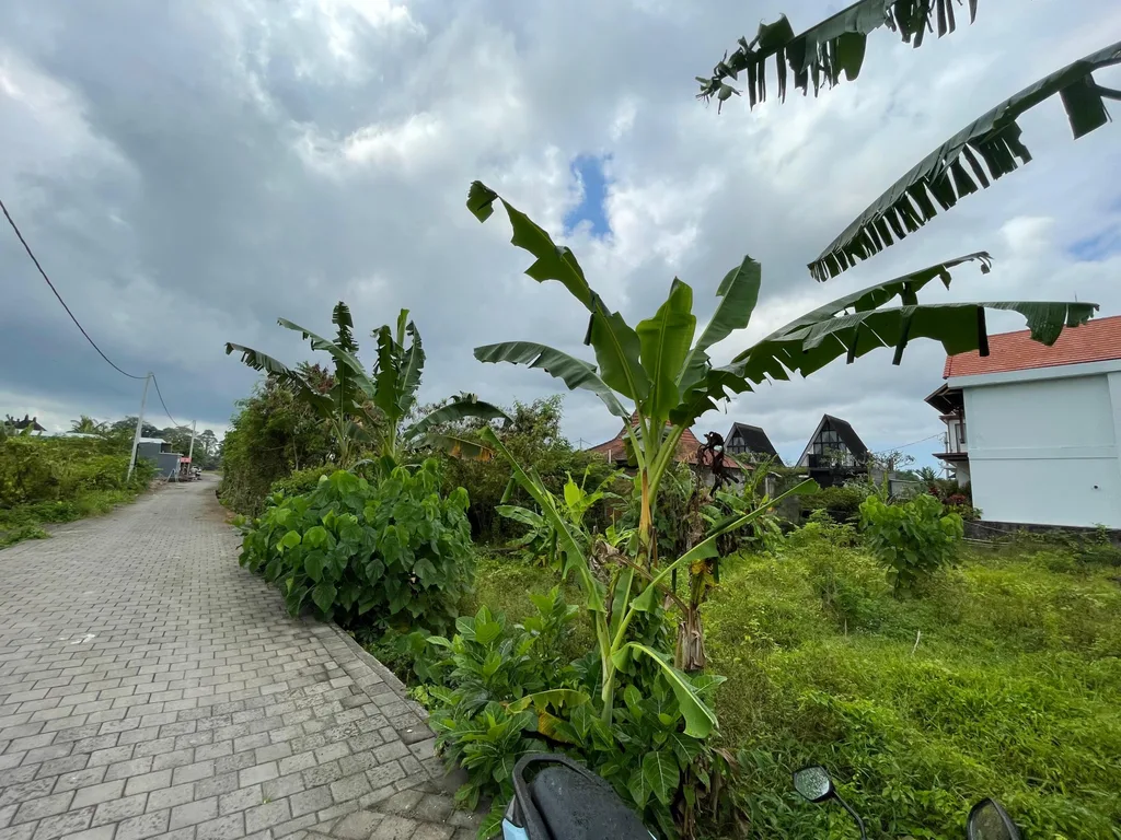 Residential Land for Leasehold in Singapadu, Ubud — photo 2