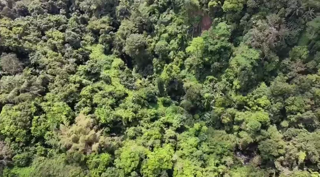 Expansive 13 Hectares of Land with Jungle, River, and Waterfall Views in Tegalalang, Ubud — photo 2