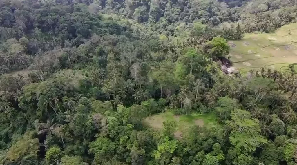 Expansive 13 Hectares of Land with Jungle, River, and Waterfall Views in Tegalalang, Ubud — photo 3