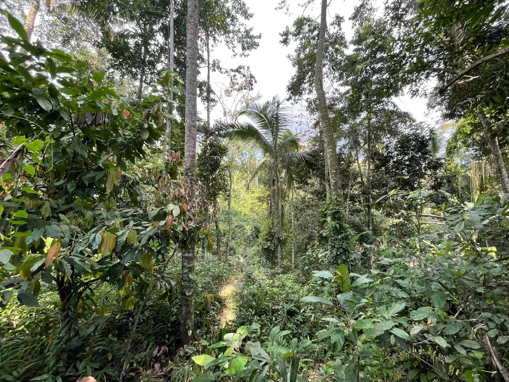 30 Are Leasehold Land in Ubud with Jungle and River Views for Sale — photo 2