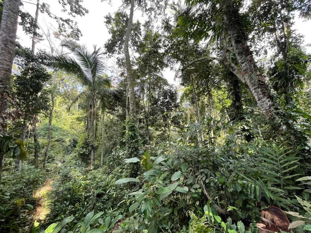 30 Are Leasehold Land in Ubud with Jungle and River Views for Sale — photo 3