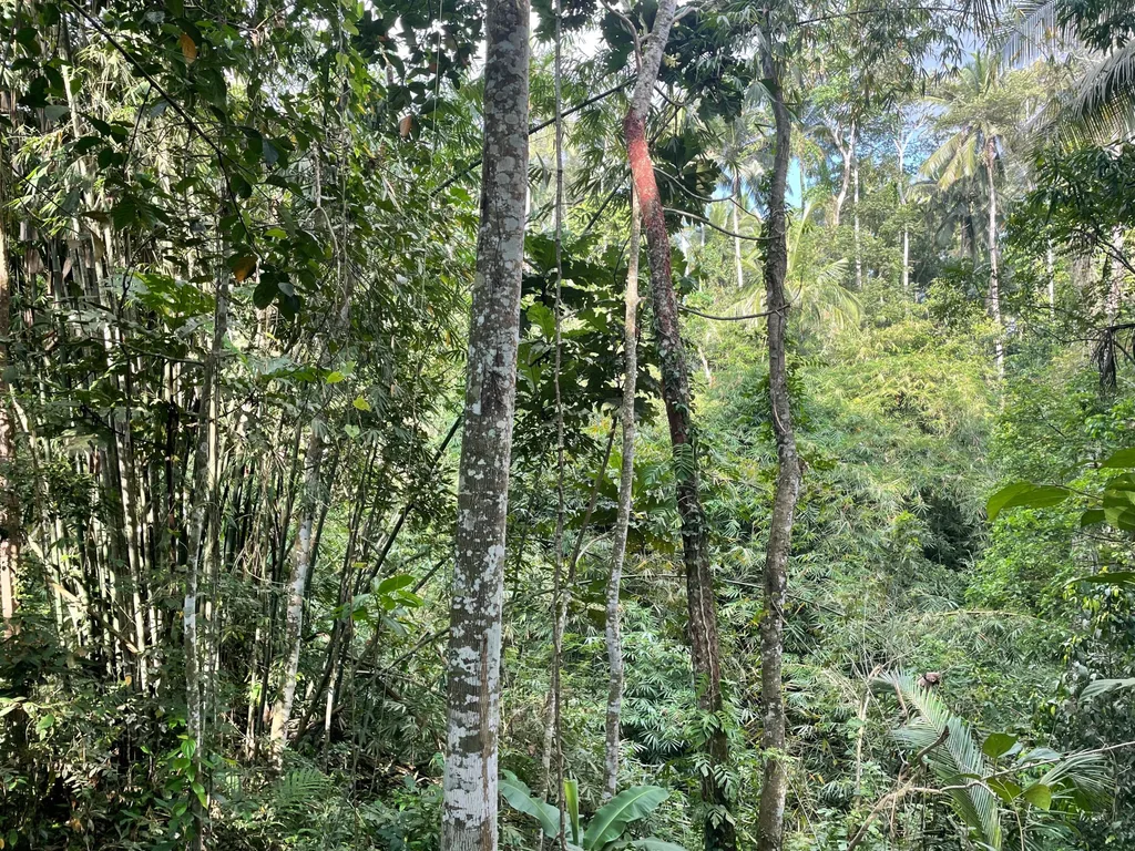 30 Are Leasehold Land in Ubud with Jungle and River Views for Sale — photo 4