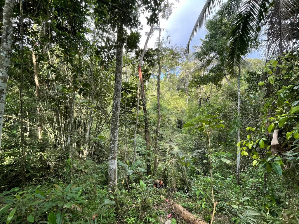 30 Are Leasehold Land in Ubud with Jungle and River Views for Sale