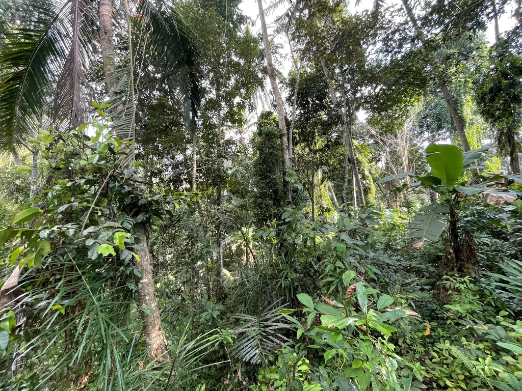 30 Are Leasehold Land in Ubud with Jungle and River Views for Sale — photo 5