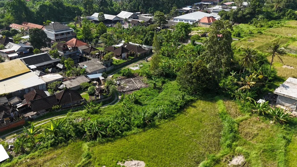 Prime, Small Pink Zone Land in Ubud with Rice Field Views for Sale - Golden Opportunity — photo 2