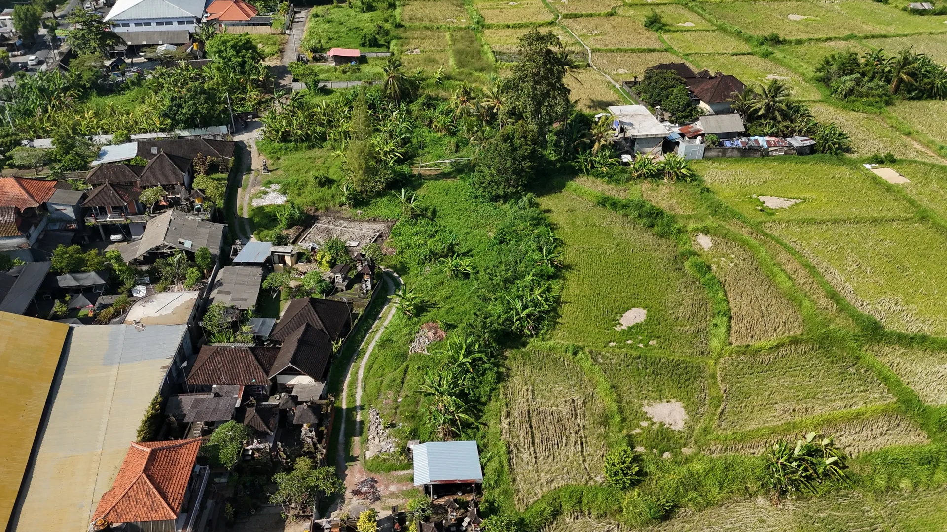 Prime, Small Pink Zone Land in Ubud with Rice Field Views for Sale - Golden Opportunity