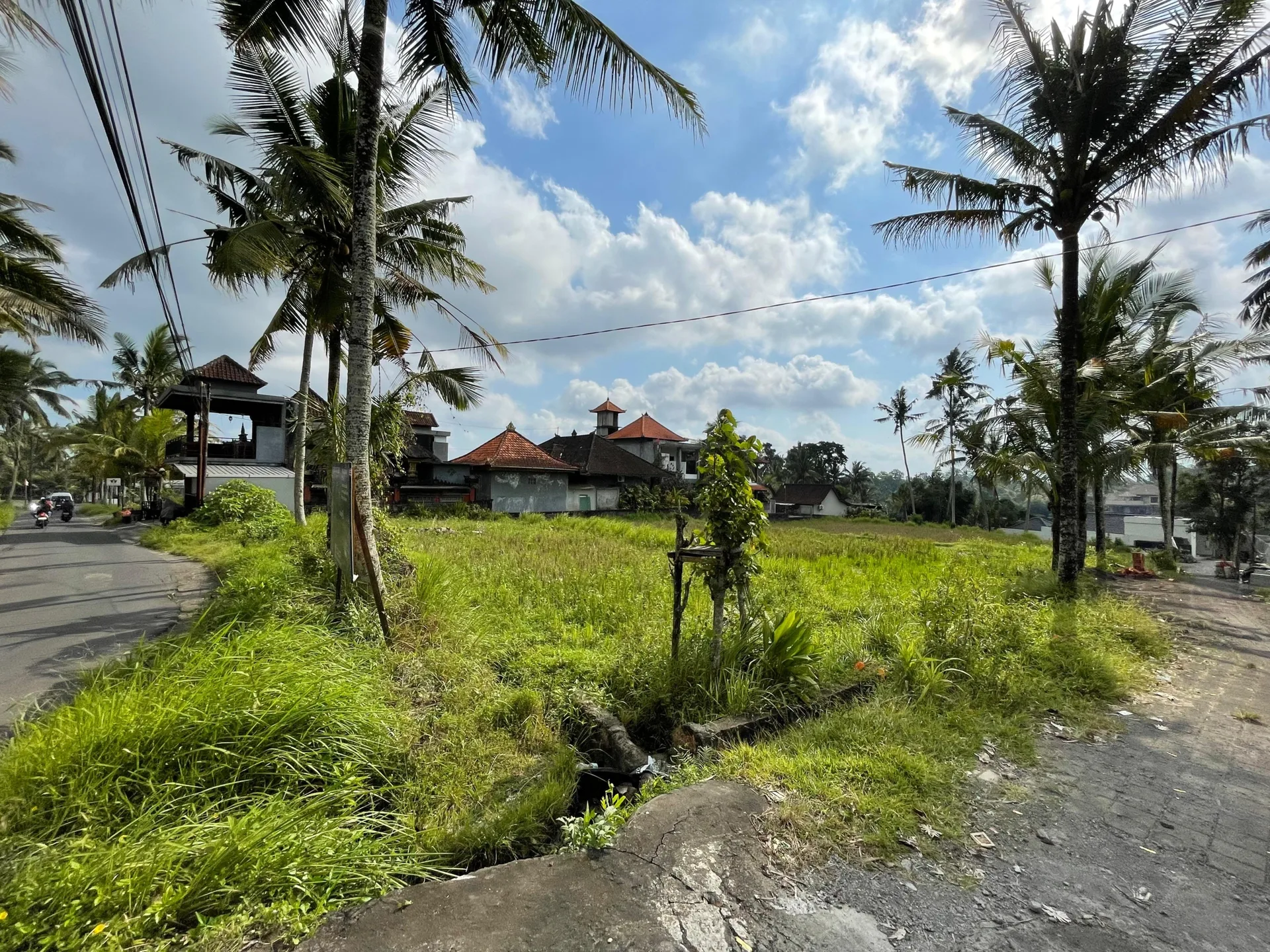 Strategic Yellow Leasehold Land in Ubud for Sale