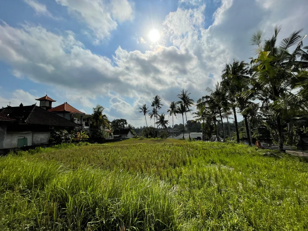 Strategic Yellow Leasehold Land in Ubud for Sale — photo 4