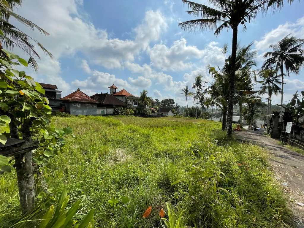 Strategic Yellow Leasehold Land in Ubud for Sale — photo 3