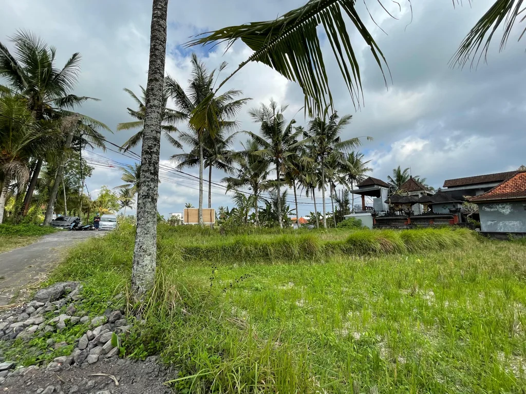 Strategic Yellow Leasehold Land in Ubud for Sale — photo 2