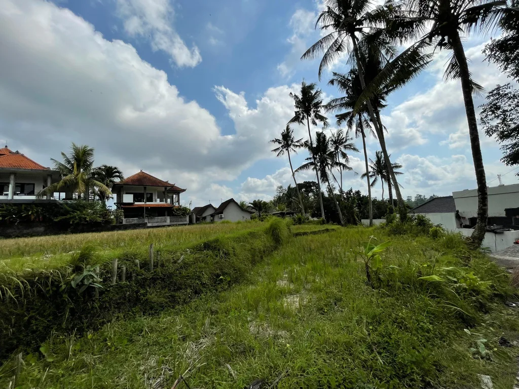 Strategic Yellow Leasehold Land in Ubud for Sale — photo 5