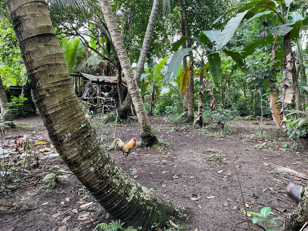 Pink-Zone Leasehold Land in Ubud for Sale — photo 3