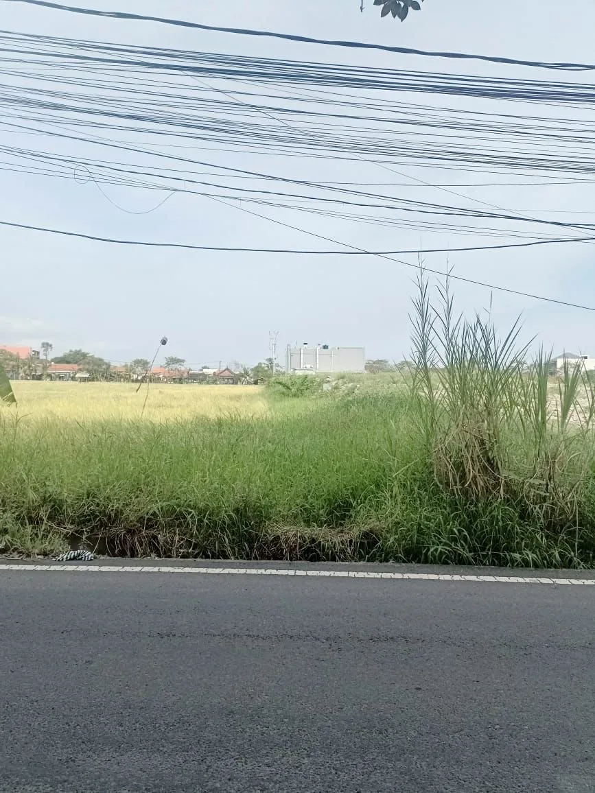 Red Zone Land in Berawa For Lease — photo 2
