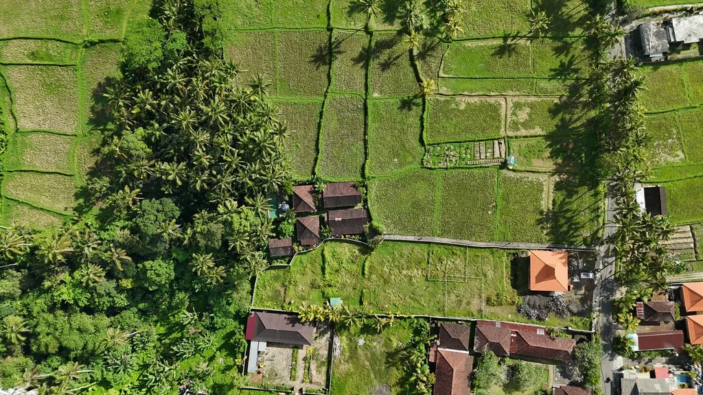 Brown Zone Land for Sale with Expansive Jungle & Rice Field Views — photo 5