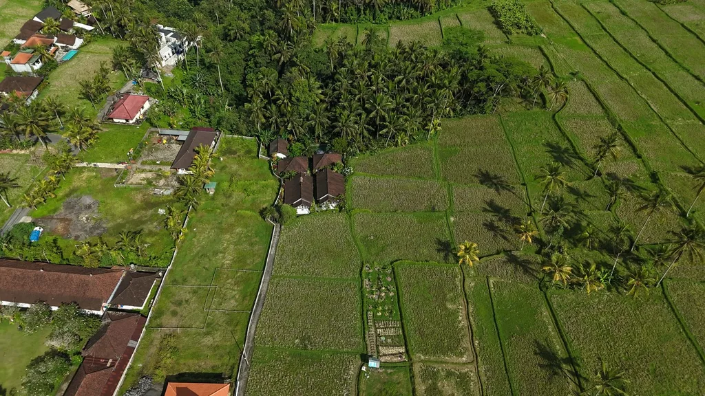Brown Zone Land for Sale with Expansive Jungle & Rice Field Views — photo 2