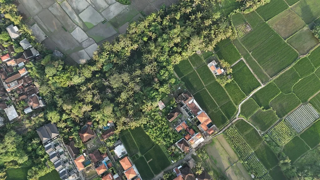 Scenic Pink Zone Land for Leasehold in Ubud — photo 5