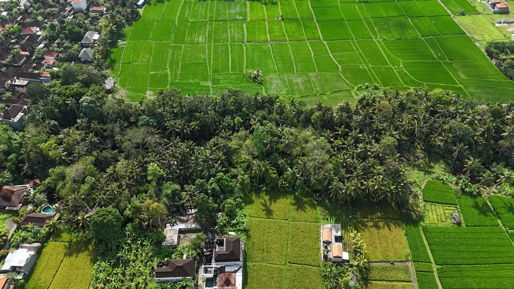 Scenic Pink Zone Land for Leasehold in Ubud — photo 3