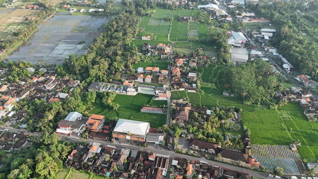Scenic Pink Zone Land for Leasehold in Ubud — photo 4