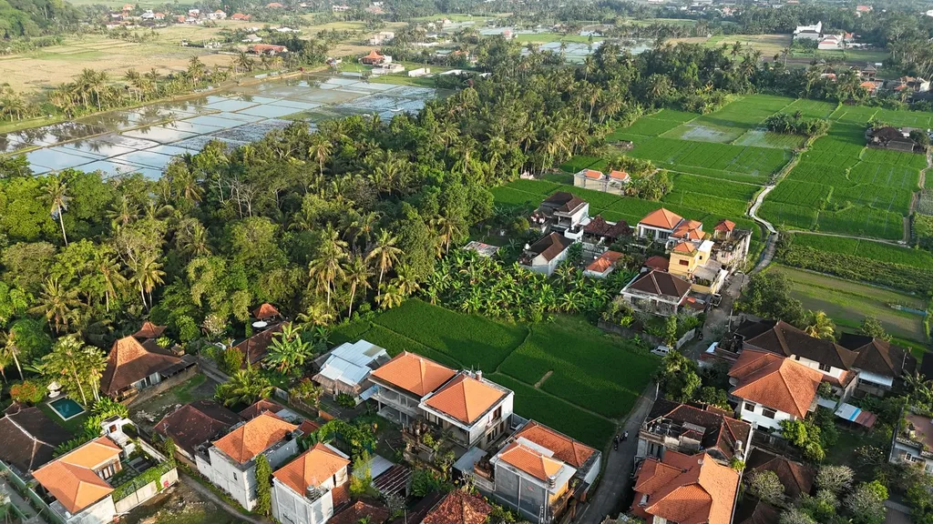 Scenic Pink Zone Land for Leasehold in Ubud — photo 2