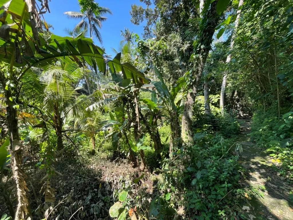 Prime Riverfront Land for Lease in Nyuh Kuning, Ubud for Sale — photo 3