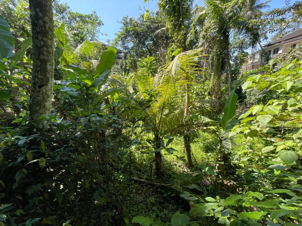 Prime Riverfront Land for Lease in Nyuh Kuning, Ubud for Sale — photo 4