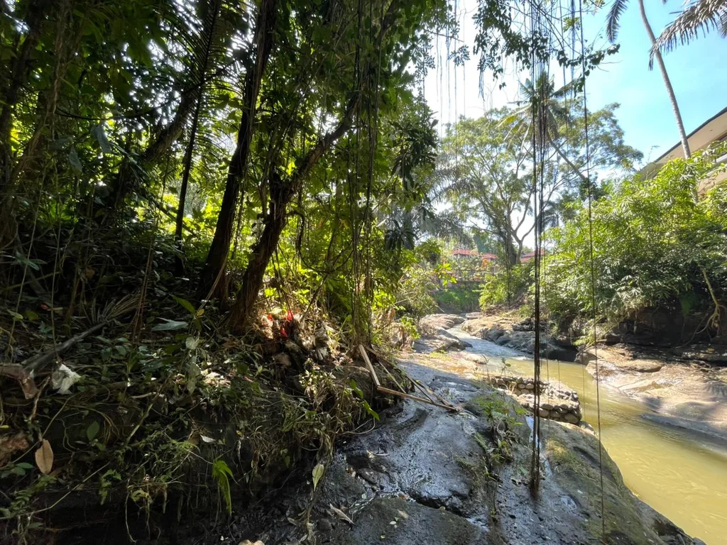 Prime Riverfront Land for Lease in Nyuh Kuning, Ubud for Sale