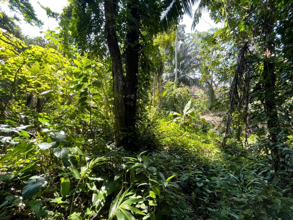 Prime Riverfront Land for Lease in Nyuh Kuning, Ubud for Sale — photo 2