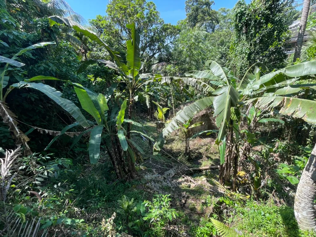 Prime Riverfront Land for Lease in Nyuh Kuning, Ubud for Sale — photo 5