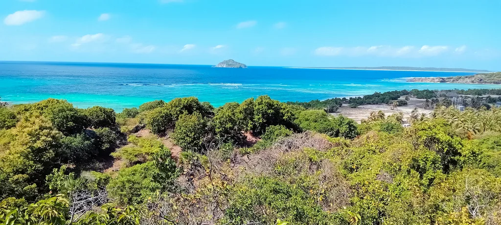 Freehold Ocean View Land for Sale in Rote Island — photo 5