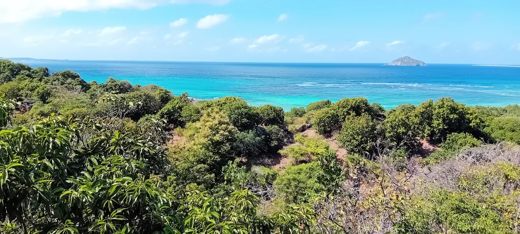 Freehold Ocean View Land for Sale in Rote Island — photo 4