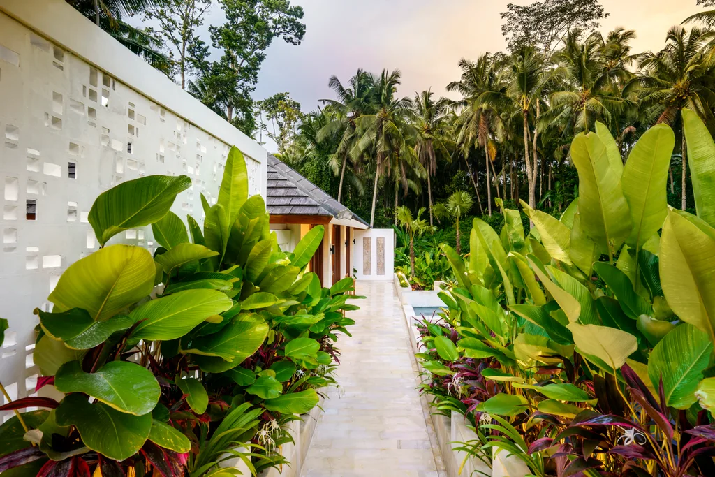 3-Bedroom Jungle Views Villa for Sale in Tegalalang, Ubud — photo 3