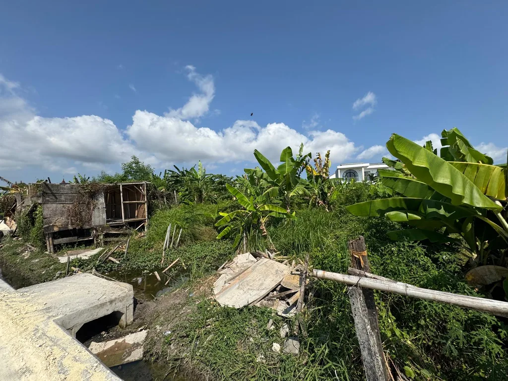 Freehold 14 Are Yellow Zone Land in Canggu for Sale — photo 5