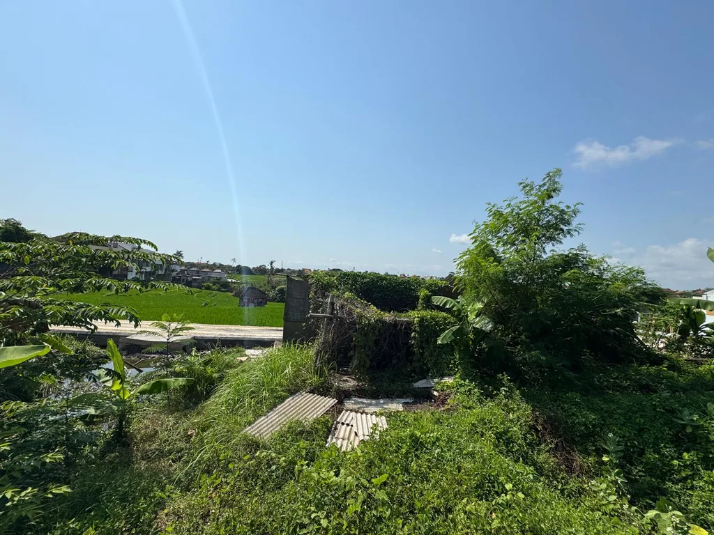 Freehold 14 Are Yellow Zone Land in Canggu for Sale — photo 4