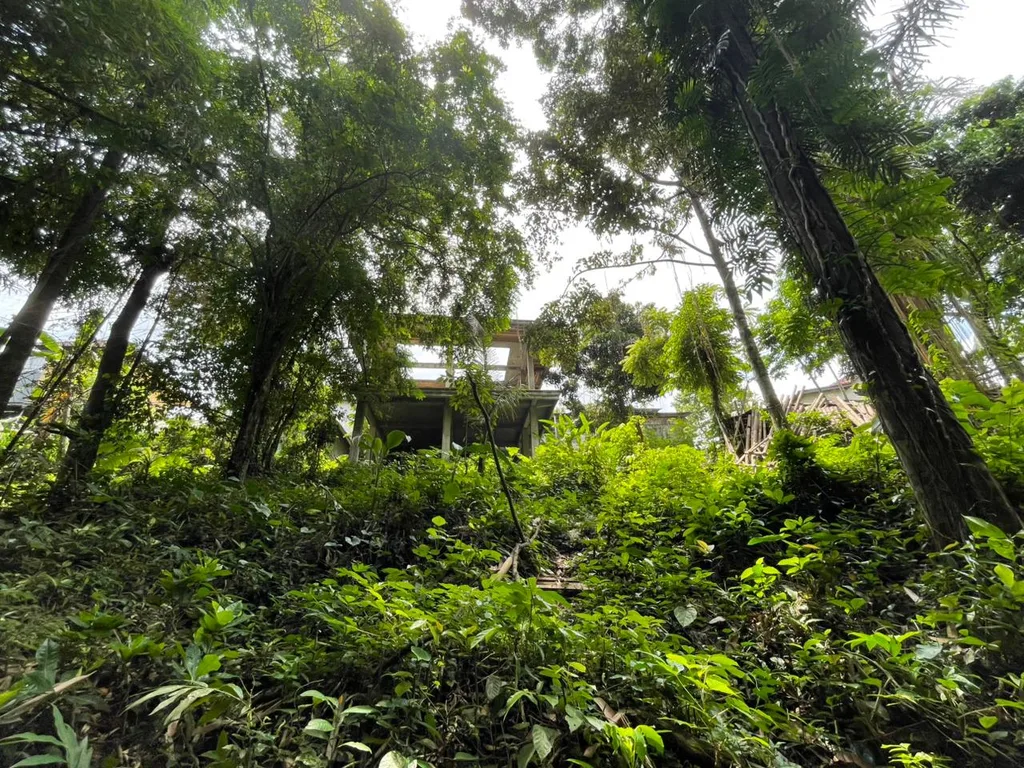 7,28 Are Pink Riverfront Leasehold Land in Central Ubud for Sale
