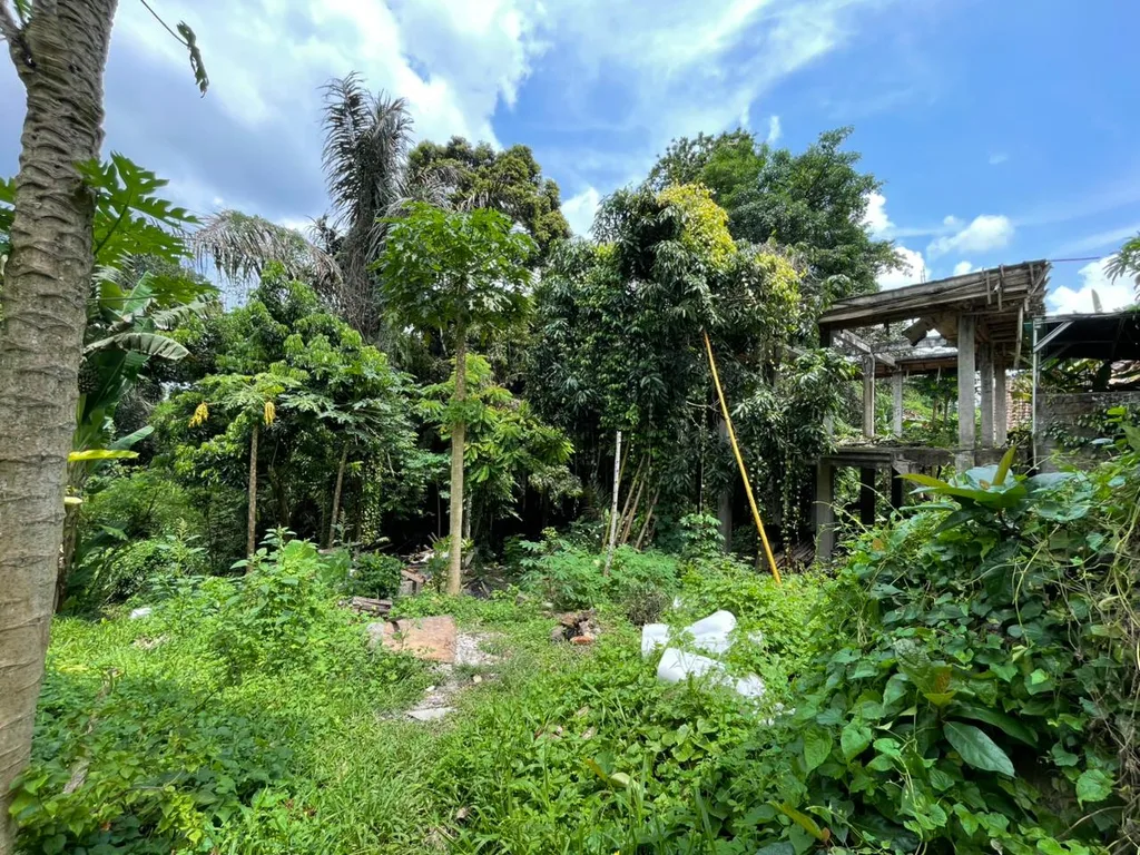7,28 Are Pink Riverfront Leasehold Land in Central Ubud for Sale — photo 3