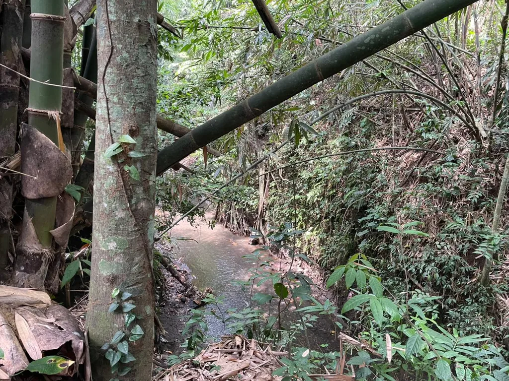7,28 Are Pink Riverfront Leasehold Land in Central Ubud for Sale — photo 2