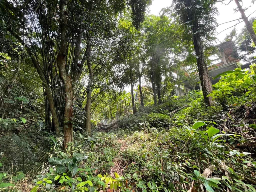 7,28 Are Pink Riverfront Leasehold Land in Central Ubud for Sale — photo 5