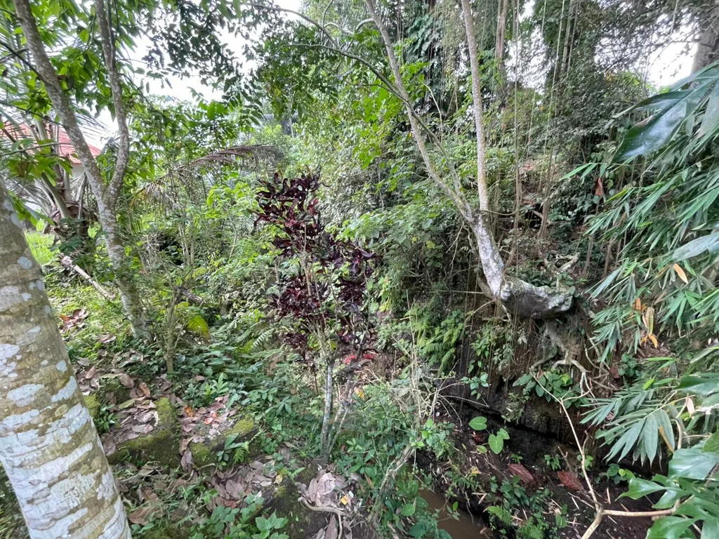 Yellow Zone Riverfront Land for Sale in Singakerta, Ubud — photo 5
