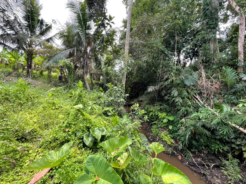 Yellow Zone Riverfront Land for Sale in Singakerta, Ubud — photo 3