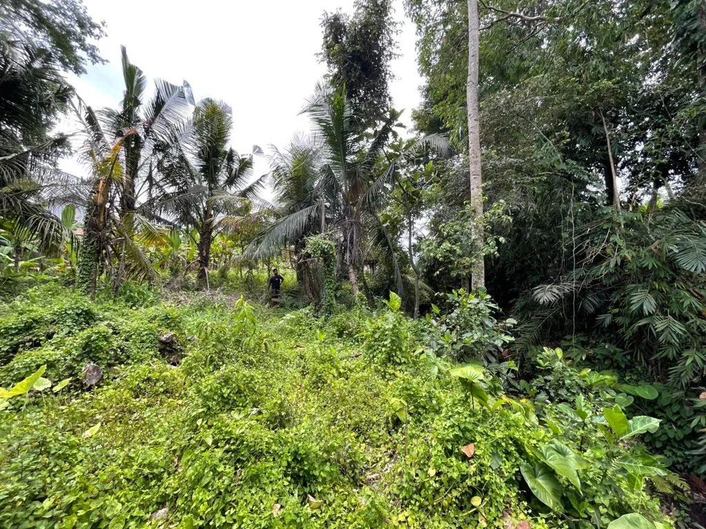 Yellow Zone Riverfront Land for Sale in Singakerta, Ubud — photo 4