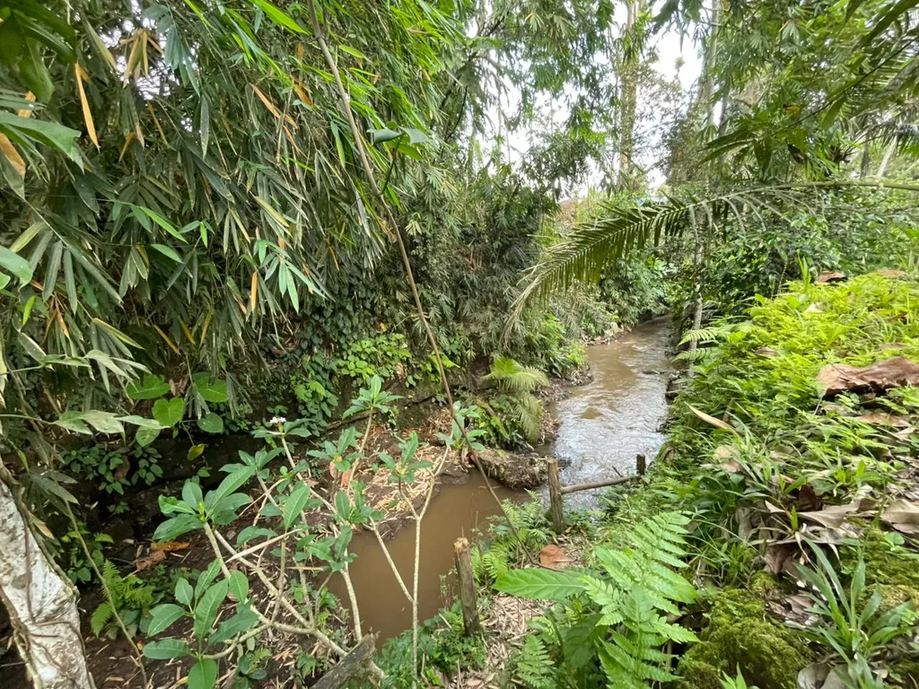 Yellow Zone Riverfront Land for Sale in Singakerta, Ubud — photo 2