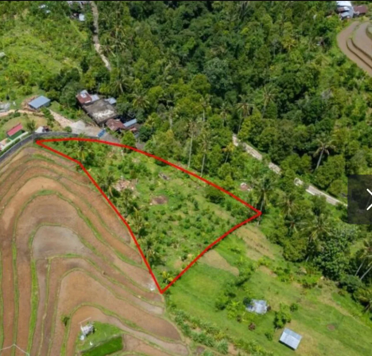 FREEHOLD LAND IN SINGARAJA, NORTH BALI