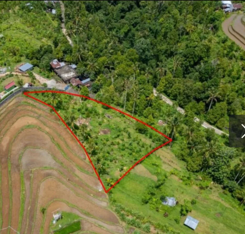 FREEHOLD LAND IN SINGARAJA, NORTH BALI