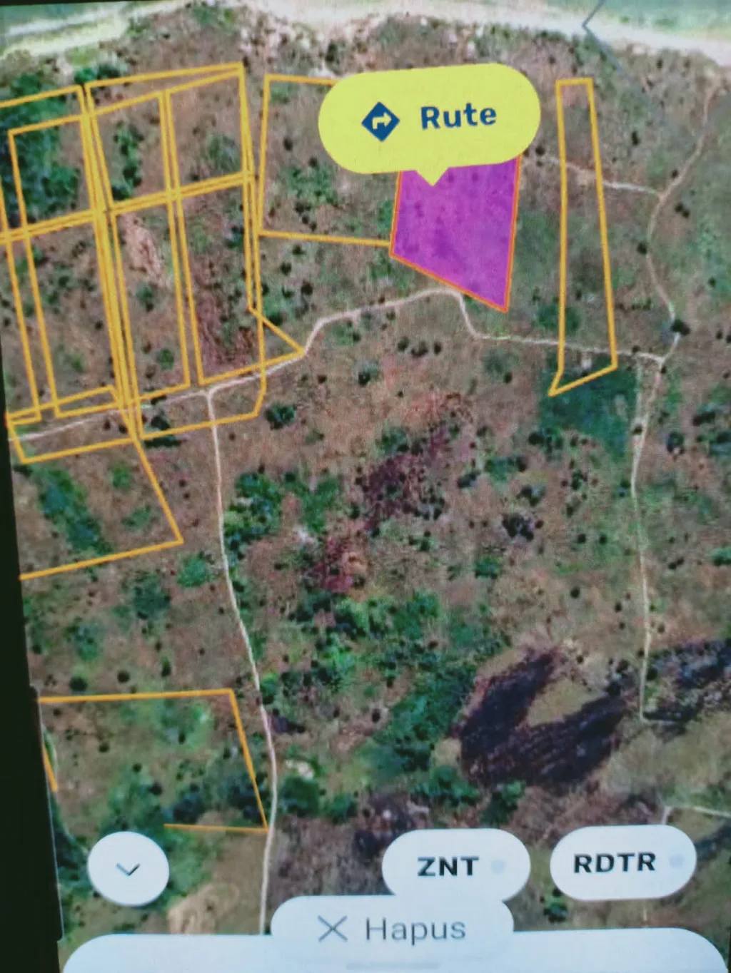 FREEHOLD BEACHFRONT LAND IN WEST SUMBA — photo 2