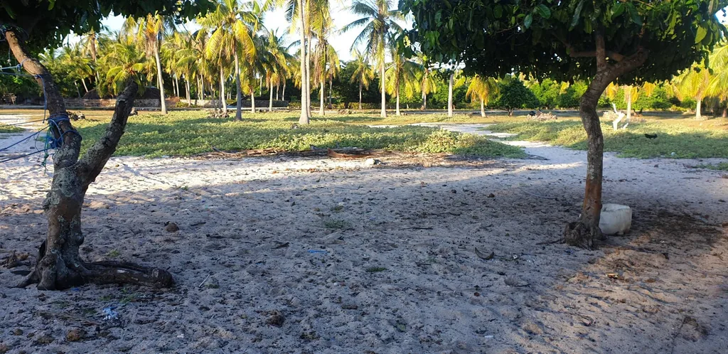 Beachfront Land for Sale in Rote Island — photo 4