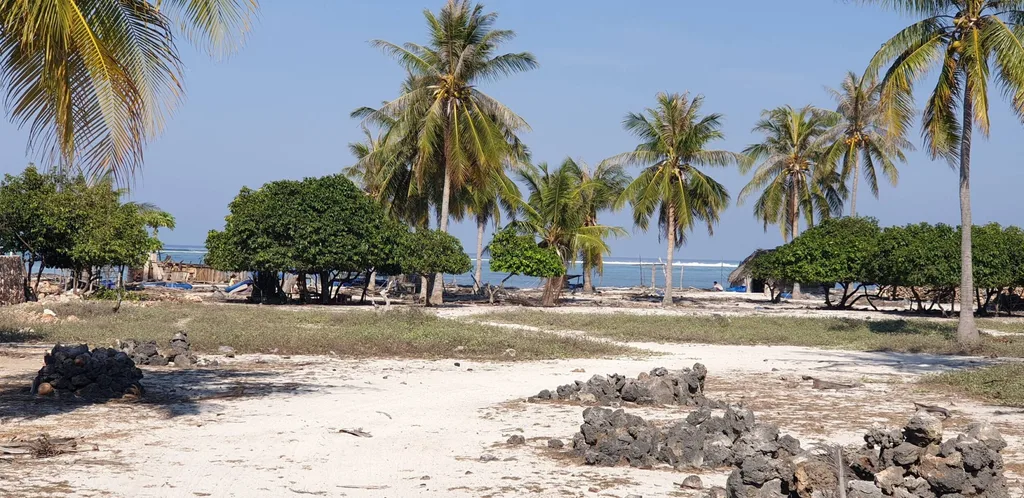 Beachfront Land for Sale in Rote Island — photo 3