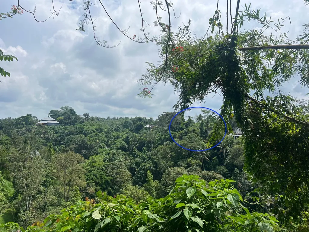 Cliffside Leasehold Land with Jungle Valley Views in Ubud — photo 3