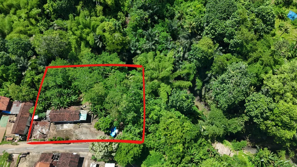 Riverbank Land for Sale in Kedungu with Jungle Views — photo 5