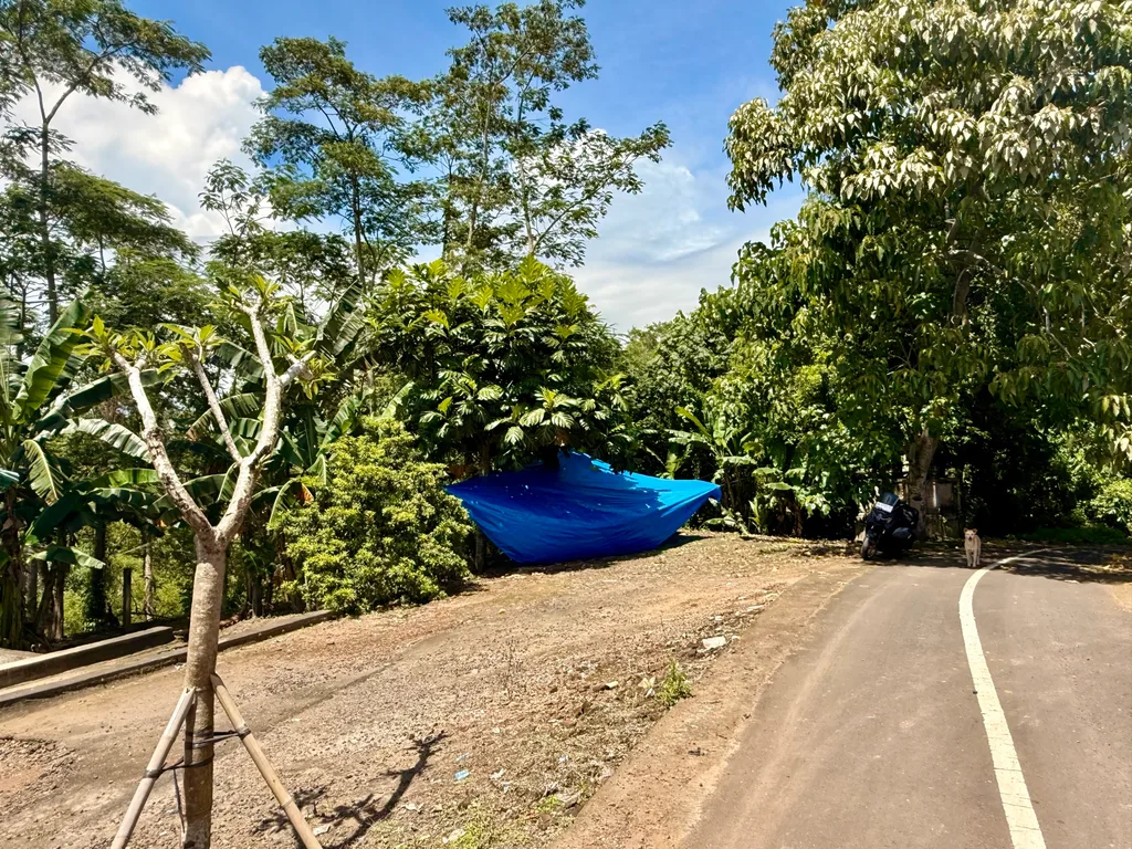 Riverbank Land for Sale in Kedungu with Jungle Views — photo 4